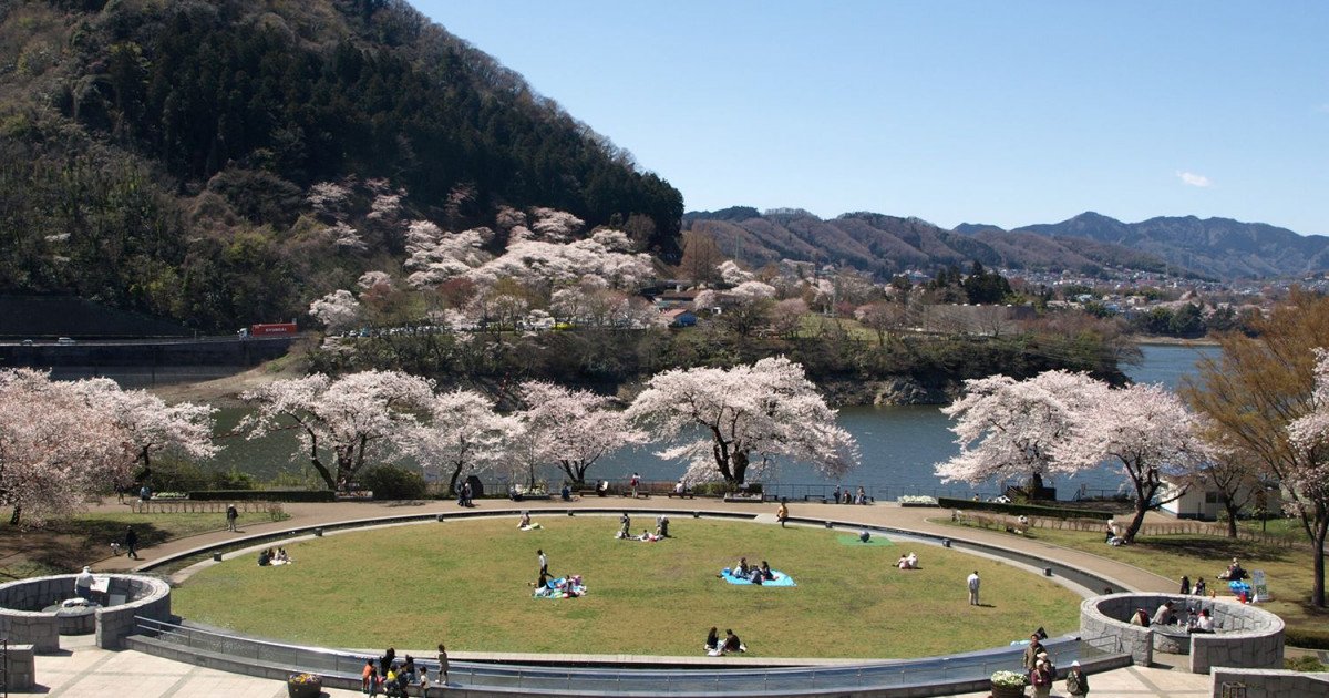 🏞️ 시로야마 공원 이미지 4